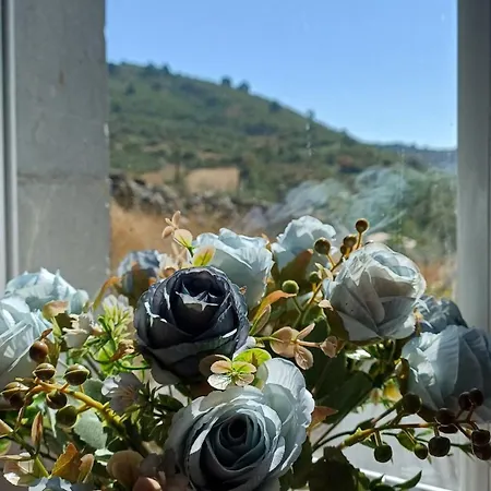 Casa Anibal Σπίτι διακοπών Buron